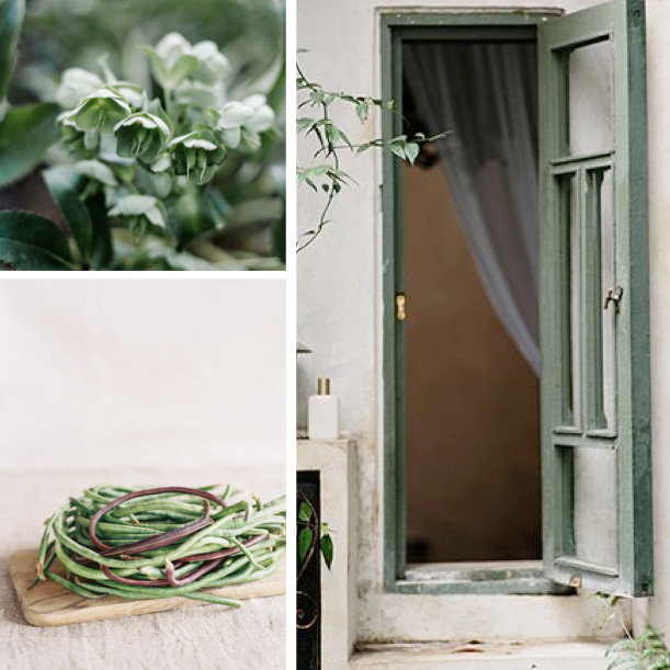 Pistachio and Moss color board