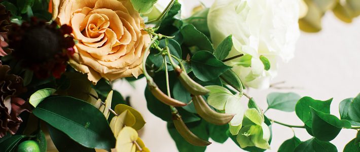 Flowers And A Thanksgiving Color Palette Flowers And A Thanksgiving Color Palette